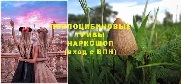 ГАЛЛЮЦИНОГЕННЫЕ ГРИБЫ Баксан