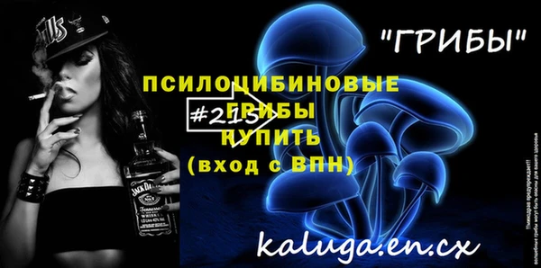ГАЛЛЮЦИНОГЕННЫЕ ГРИБЫ Баксан